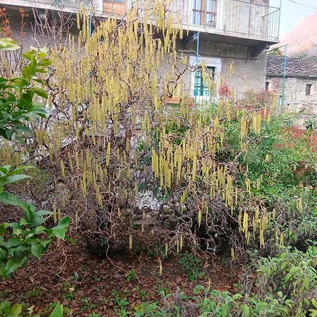 La Casa Antica